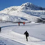 Cozy Mountain Beito - 18 Sengeplasser - Bilijard דירה
